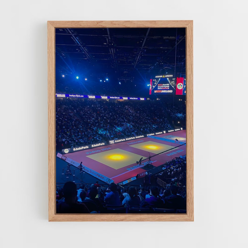 Poster Judo en Action (vue 4)